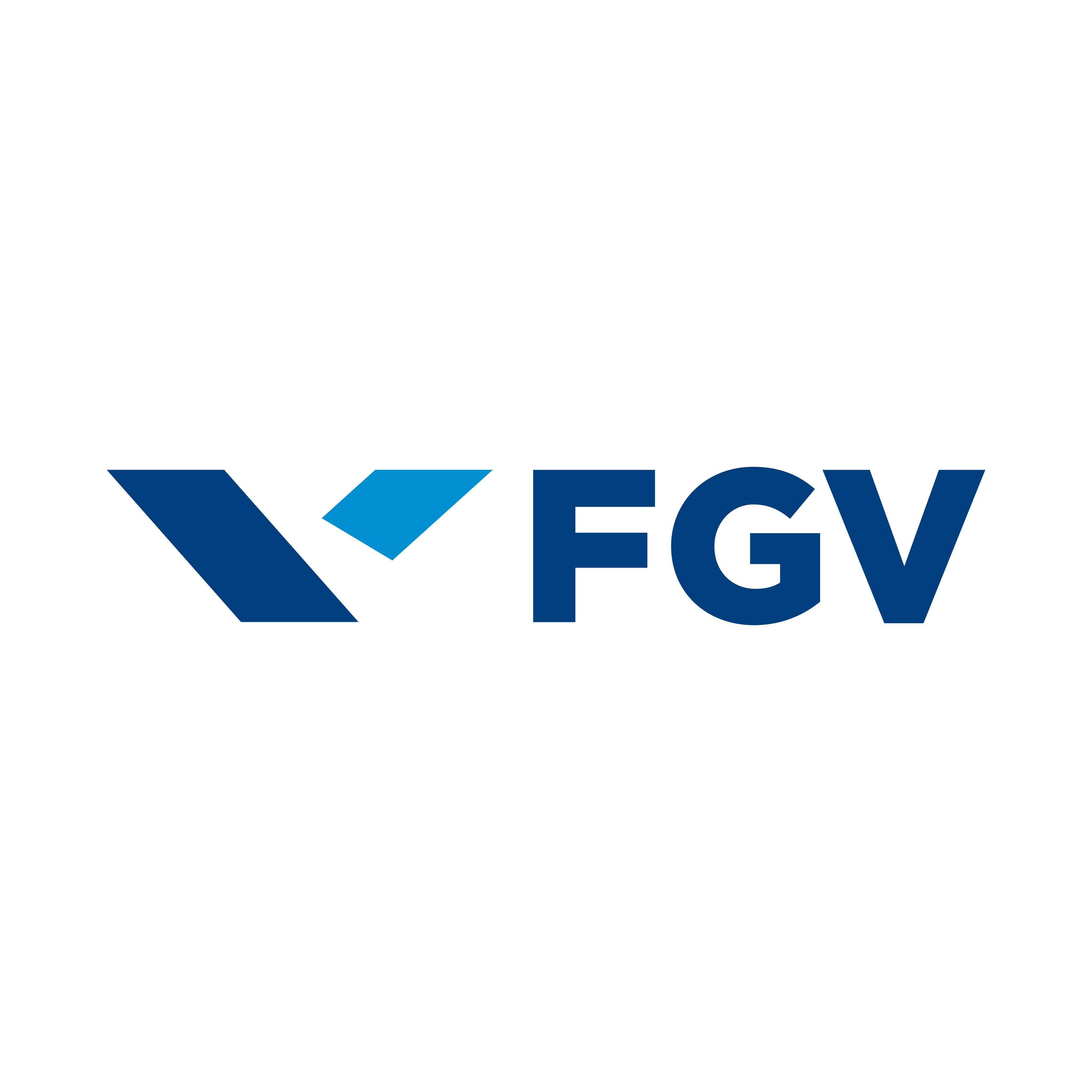 Aluno MBA FGV